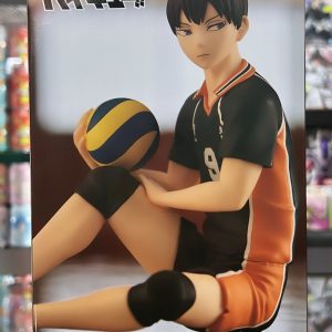 HAIKYU!! NOODLE STOPPER TOBIO