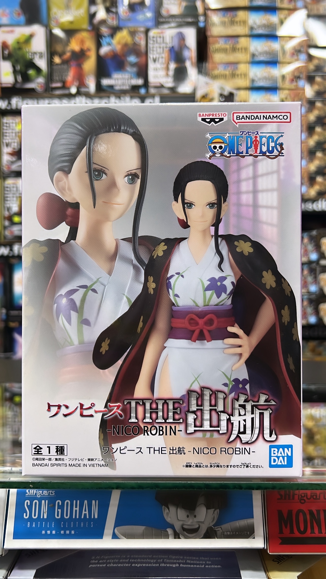 ONE PIECE – THE SHUKKO – NICO ROBIN