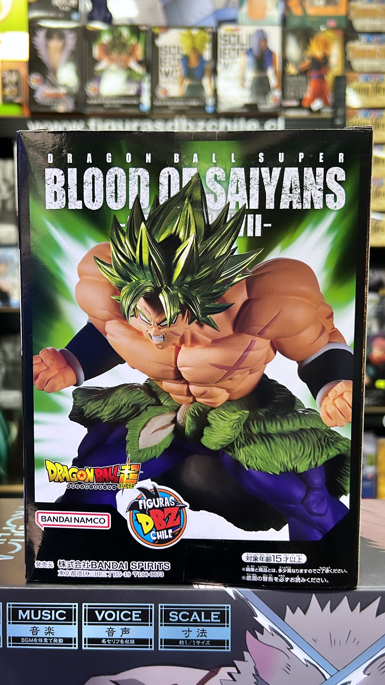 DRAGON BALL BLOOD OF SAIYANS BROLY